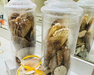 SEA SHELLS IN JARS