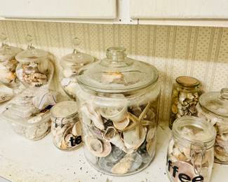 SEA SHELLS IN JARS