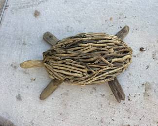 Driftwood turtle