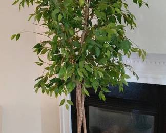 7.5 Ft. Artificial Ficus Tree