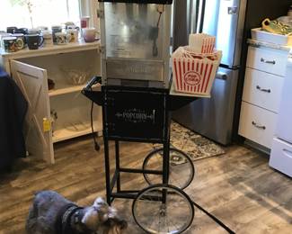Popcorn machine on wheels, etc.  Bentley is waiting to greet you at the sale!