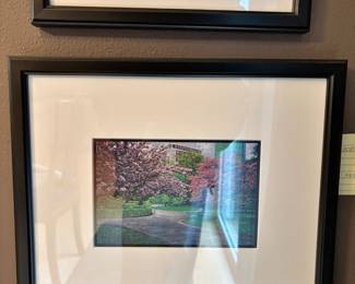 Framed & Matted Print of Boston Common in Boston, Massachusetts