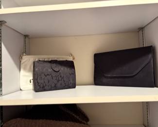 Women's evening purses
