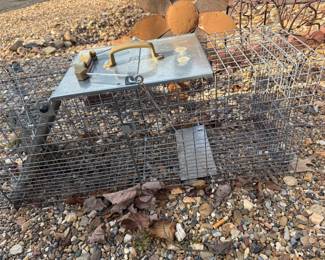 Animal Trap