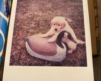 I put this adorable picture up just to make sure you were still paying attention.