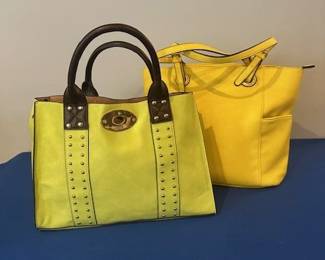 Charming Charlie handbag and Vince Camuto bag
