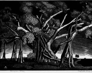 Sheffield Kagy (Banyan Tree)