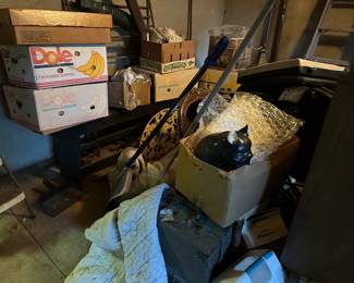 Lots to Still go Through!!! More Pics on Wednesday Night!