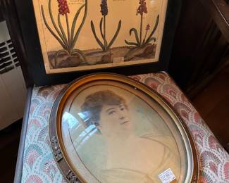 Framed Portrait w/ Convex Glass, Framed Botanical