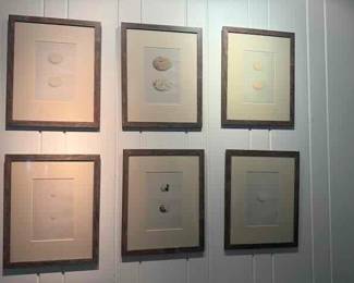 Collection of Egg Prints( sold individually)