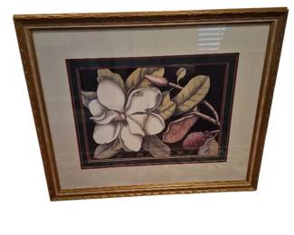 Catesby Magnolia Framed Print