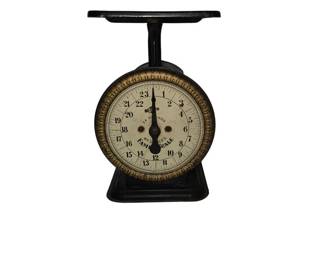 Antique Standard American Family Scale 24 Pounds