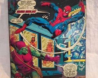 The Amazing Spiderman Metal Wall Art