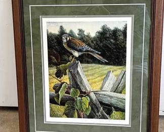 Framed Art-Bird