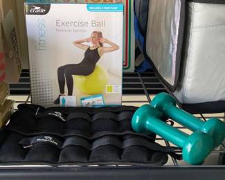 Exercise ball and weights