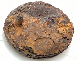 CIVIL WAR ERA U.S BRASS BRIDLE ROSETTE