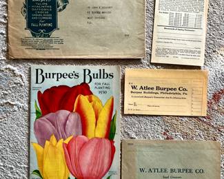 1930 Burpee's Bulbs Fall Planting Catalog 