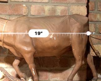 19"w X 16"