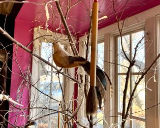 Antique Chinese brush