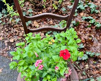 After - Great old chair for the garden - (flower NFS)
