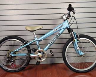 Specialized Hotrock 6-Speed Bicycle 