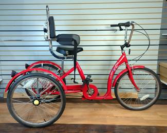 AmTryke Therapeutic Tricycle 