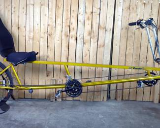 Sun Bicycles EZ Tandem Recumbent Bicycle 