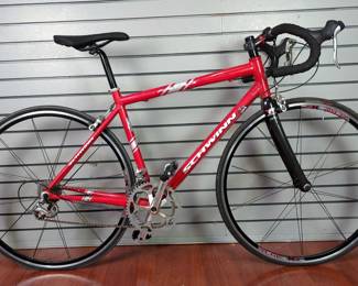 Schwinn Fastback Gold Label 18-Speed Road Bicycle