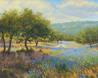 Greg Glowka, "Spring Light Near Wimberley"