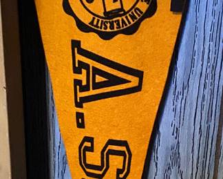 Appalachian State Pennant