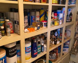 Assorted Household Chemicals and Cleaning