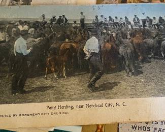 Pony Herding Morehead City (one of four cards to be sold separately)