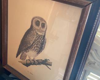 Owl Print