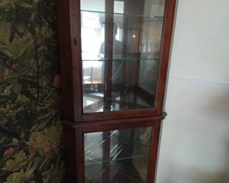 Corner Curio
