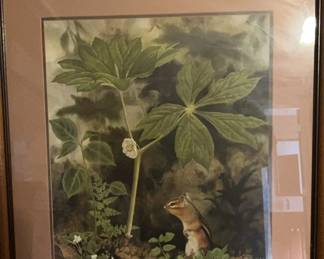 Jean Vietor Som Brella Ltd Edition Print Framed