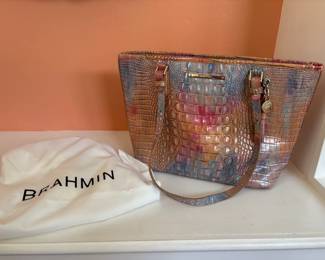 136 - Brahmin Purse