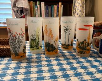 Blakey cactus glasses