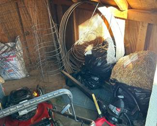 Shed contents, B gas can, leaf blower