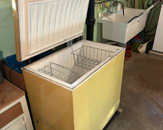 Basement, chest freezer