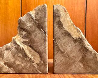 Petrified Wood Bookends