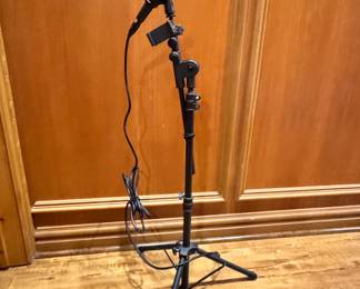 Microphone and stand