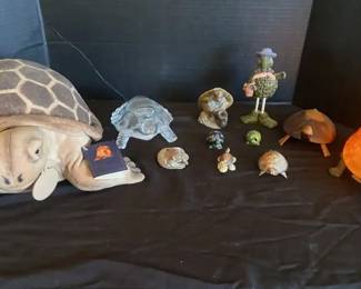 Are You In The Turtles 