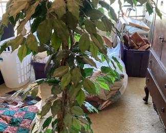 Help Me Im Dying From Dust