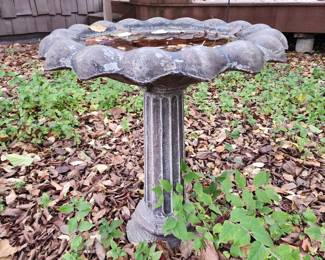 Bird bath
