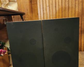 Realistic minimum-19 vinyl walnut veneer speakers