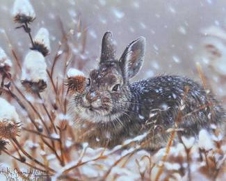 Vivi Crandall prints