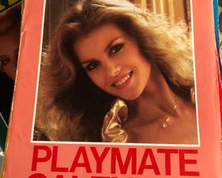Dozens of Playboy Calendars