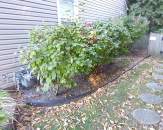 See prices & more info, copy & paste link below:
https://beforeudemo.com/sales-event/elmhurst-whole-house-demolition-sale/