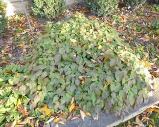 See prices & more info, copy & paste link below:
https://beforeudemo.com/sales-event/elmhurst-whole-house-demolition-sale/