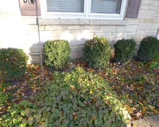 See prices & more info, copy & paste link below:
https://beforeudemo.com/sales-event/elmhurst-whole-house-demolition-sale/